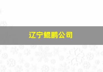 辽宁鲲鹏公司