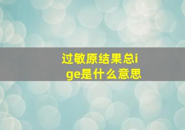 过敏原结果总ige是什么意思