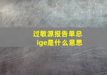 过敏源报告单总ige是什么意思