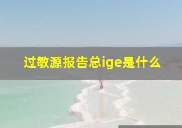 过敏源报告总ige是什么