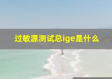 过敏源测试总ige是什么