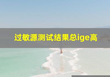 过敏源测试结果总ige高