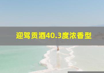 迎驾贡酒40.3度浓香型