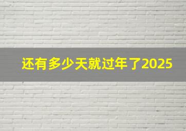 还有多少天就过年了2025