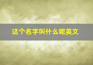 这个名字叫什么呢英文