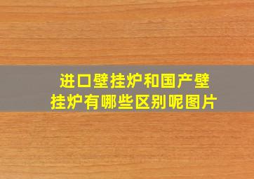 进口壁挂炉和国产壁挂炉有哪些区别呢图片