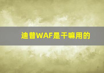 迪普WAF是干嘛用的