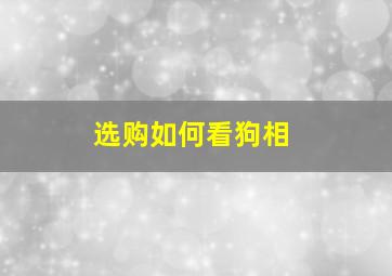 选购如何看狗相