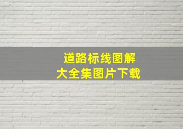 道路标线图解大全集图片下载