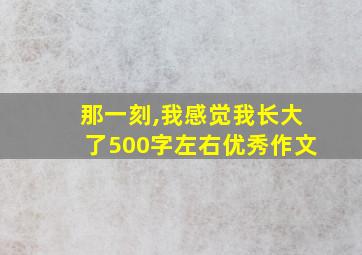 那一刻,我感觉我长大了500字左右优秀作文