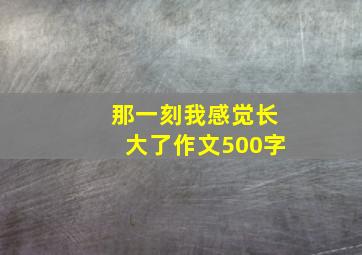 那一刻我感觉长大了作文500字