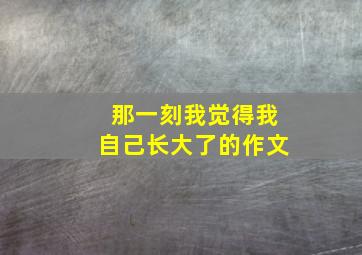 那一刻我觉得我自己长大了的作文