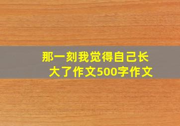 那一刻我觉得自己长大了作文500字作文