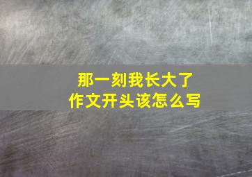 那一刻我长大了作文开头该怎么写