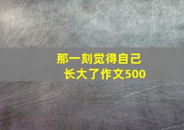 那一刻觉得自己长大了作文500