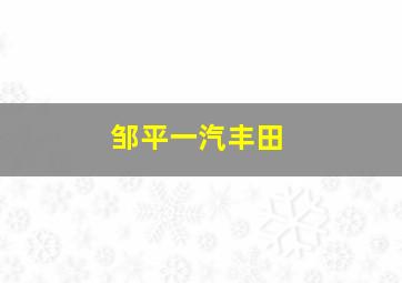 邹平一汽丰田