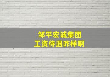 邹平宏诚集团工资待遇咋样啊