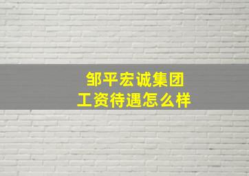 邹平宏诚集团工资待遇怎么样