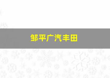 邹平广汽丰田