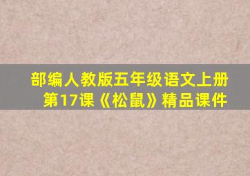 部编人教版五年级语文上册第17课《松鼠》精品课件