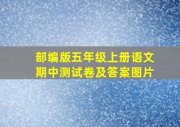 部编版五年级上册语文期中测试卷及答案图片