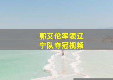 郭艾伦率领辽宁队夺冠视频