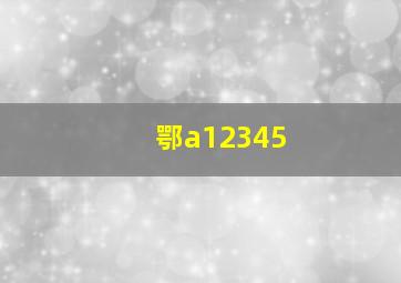 鄂a12345