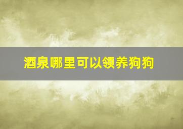 酒泉哪里可以领养狗狗