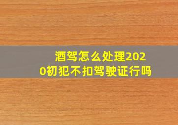 酒驾怎么处理2020初犯不扣驾驶证行吗