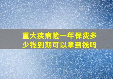 重大疾病险一年保费多少钱到期可以拿到钱吗