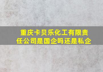 重庆卡贝乐化工有限责任公司是国企吗还是私企