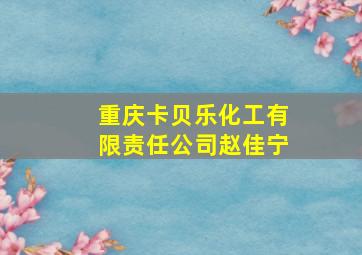 重庆卡贝乐化工有限责任公司赵佳宁