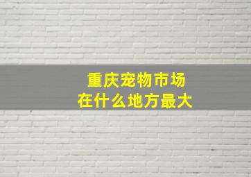 重庆宠物市场在什么地方最大