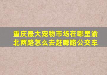 重庆最大宠物市场在哪里渝北两路怎么去赶哪路公交车