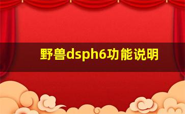 野兽dsph6功能说明