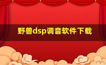 野兽dsp调音软件下载