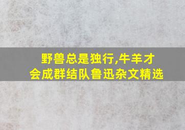 野兽总是独行,牛羊才会成群结队鲁迅杂文精选