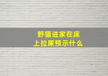 野猫进家在床上拉屎预示什么