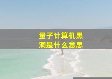 量子计算机黑洞是什么意思