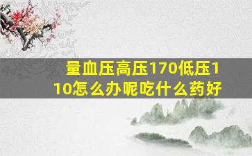 量血压高压170低压110怎么办呢吃什么药好