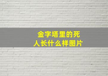 金字塔里的死人长什么样图片