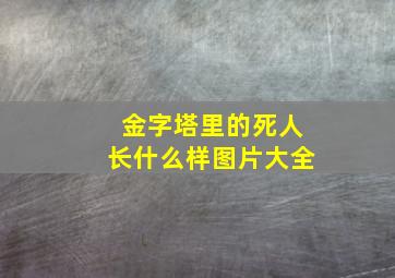 金字塔里的死人长什么样图片大全