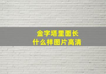 金字塔里面长什么样图片高清