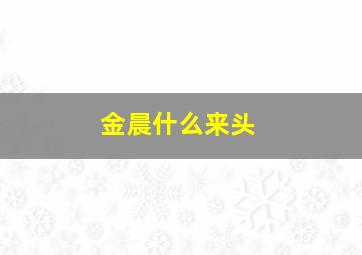 金晨什么来头