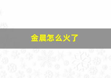 金晨怎么火了