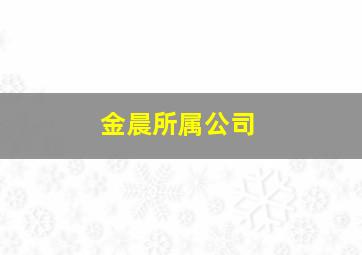 金晨所属公司