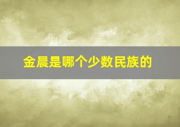 金晨是哪个少数民族的