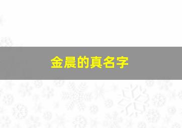 金晨的真名字