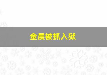 金晨被抓入狱