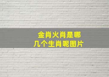 金肖火肖是哪几个生肖呢图片